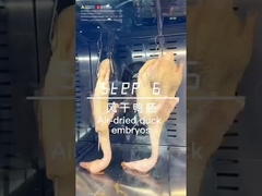 Gorący wiatr Wielofunkcyjny wyświetlacz Grill Kurczak kaczka i jagnięcie Pieczarnia